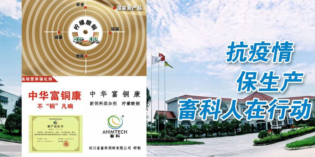 news03.jpg news03.jpg