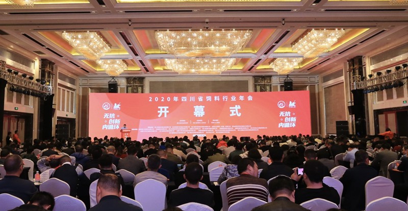 news01.jpg news01.jpg