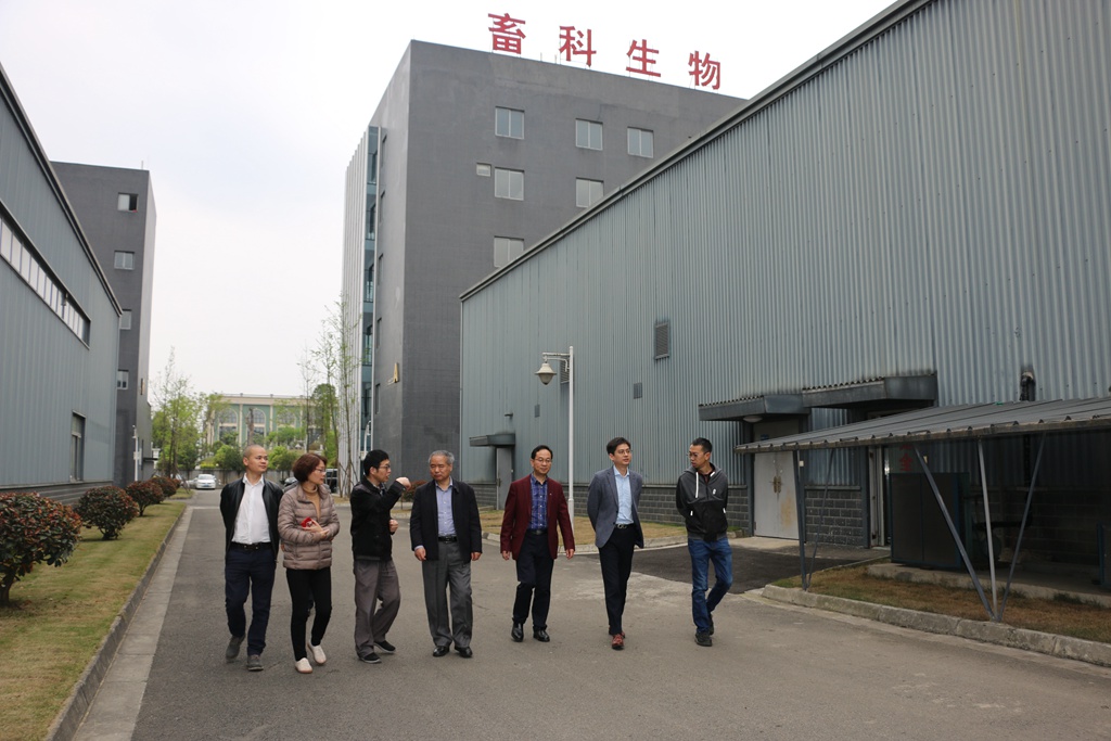 news02.jpg news02.jpg