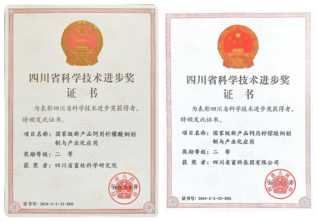 NeoImage_副本.jpg NeoImage_副本.jpg